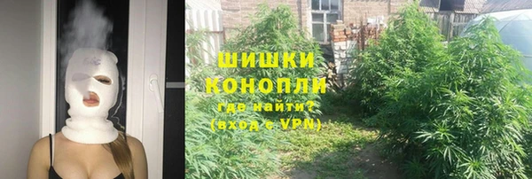 spice Абаза