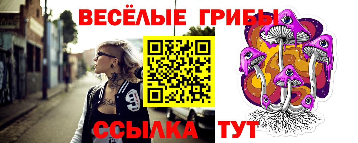 Псилоцибиновые грибы GOLDEN TEACHER  Вход с VPN  Абинск 