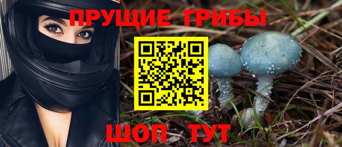 Псилоцибиновые грибы мухоморы Абинск